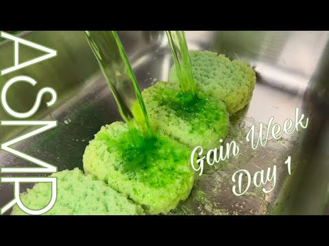 💚 Gain Week: Mr. Clean | ASMR SPONGE SQUEEZING | 💚