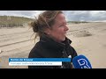 'Heel jonge pups in een woeste zee loslaten, geeft wel wat kopzorgen.'