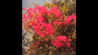 Jefre Cantu Ledesma - Songs Of Forgiveness Side A