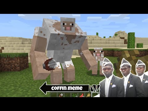 Coffin Meme but It's CURSED Part 19 - Minecraft