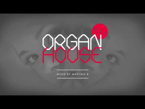 Martino B ● Organ House v006 (January 2017)
