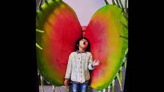 Download lagu Liszt La leggierezza mp3