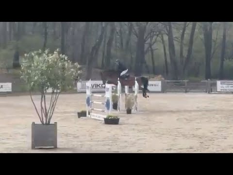 7. Promise Show | 6yo 1.25 Class