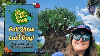 It's Tough to be a Bug - Full Show