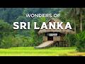 UNSEEN SRI LANKA Ancient Temples Untouched Beaches Lost Cities Travel Video
