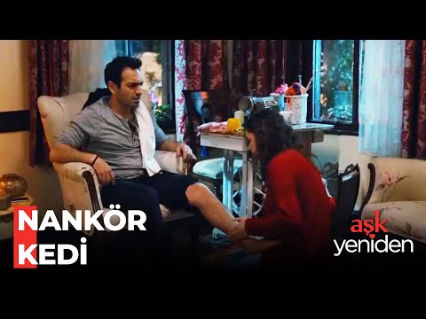 Zeynep'ten Büyük Hizmet - Aşk Yeniden