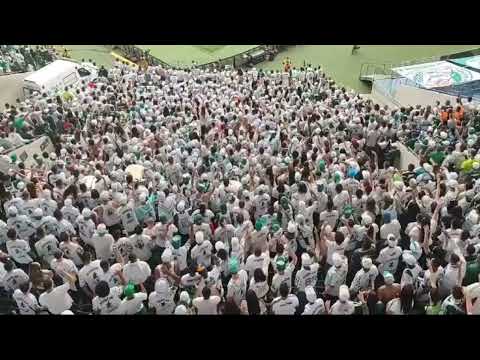 Ih libertadores eu sou tri 🎶 Mancha verde no Allianz Parque!