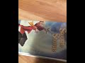 The Sword In The Stone 1987 Canadian Vhs Review 1988 Reprint