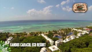 Sandos Hotels Mexico | Sandos Hotels & Resorts