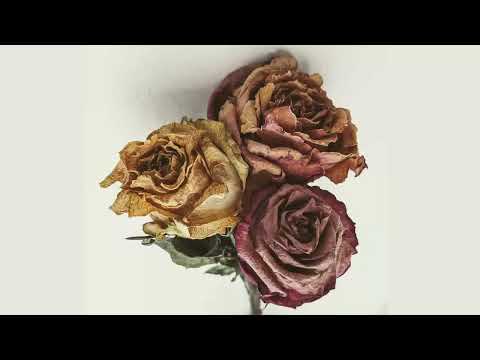 Proscritos - Flores muertas