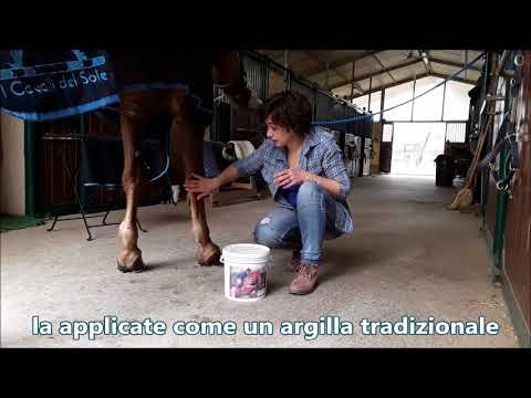 Il calore in tutto il corpo e la temperatura non è il mal di schiena Dolore alle articolazioni del gomito in trattamento di carico