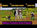 Diraamaa Jiruu Abbaa Tamaam Kutaa 1ffaa Guutuun Abbaan Saambii Daangaa Darbanii Gudii Ta An