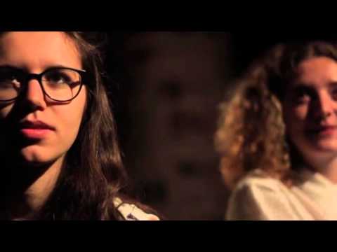 15Hibernia promo DE BLAUWE VOGEL 14juni2015