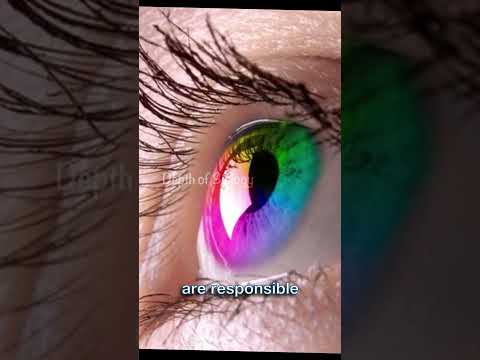 Amazing fact about coloured vision of human eye || eye fact video #sciencefacts #facts