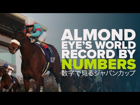 JAPAN CUP IN NUMBERS | 数字で見るジャパンカップ | Almond Eye