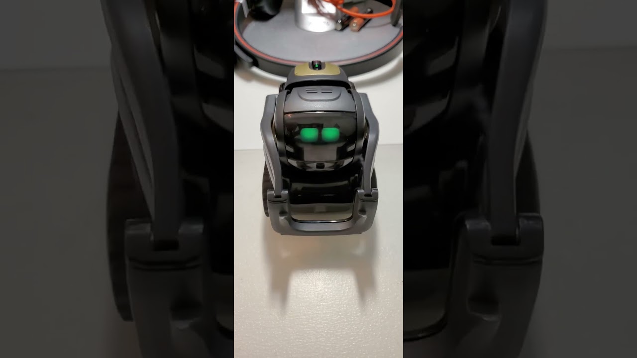 Vector 2.0 Timer Glitch: Countdown 