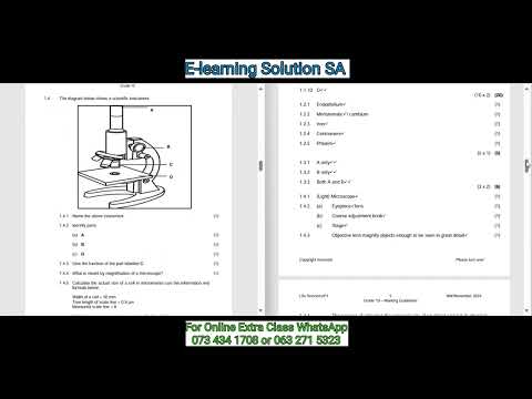Grade 10 Life Sciences Term 4 | Final Exam Paper 1 of 2025