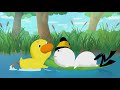 Duck And Goose Intro