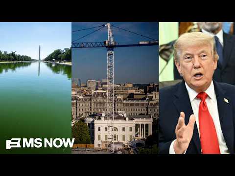 HOW TO BEAT TRUMP'S 'SWAMP': See plan to stop algae-infested pool, costly ballroom & profiteering