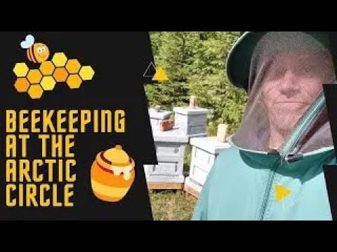 , title : 'How to Farm Bees for Honey | We OPENED Bee Hive of 50.000 BEES Inside'