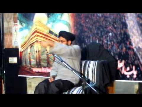 Molana Ali Muhammad Naqvi, 11 safar 1434 BUIF