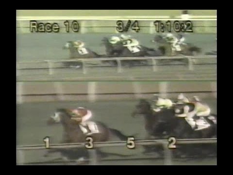 1994 Washington DC International Stakes
