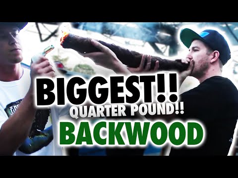 The World's BIGGEST Backwood! QUARTER POUND BLUNT!