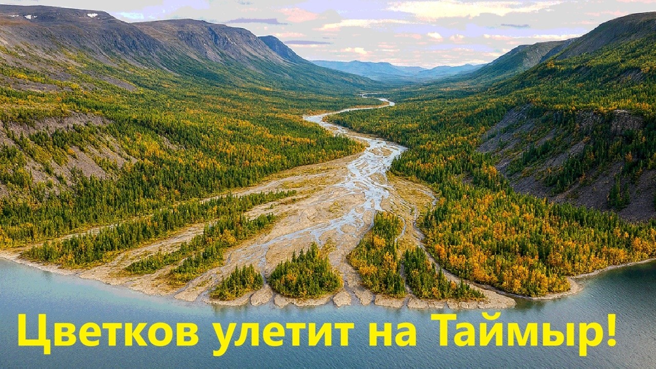 Цветков улетит на Таймыр!