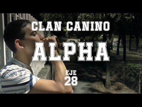 CLAN CANINO - ALPHA