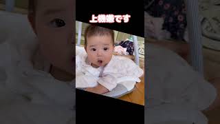 急に寝るうちの子 / Fell asleep suddenly #shorts
