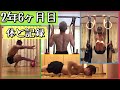 プリズナートレーニング2年6ヶ月目の体と記録。/ 2 Years 6 Months of Calisthenics, My Story and Body Transformation.