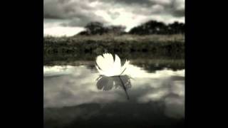 The Shadow Project - Voices