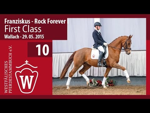 10 First Class Wallach v. Franziskus - Rock Forever I