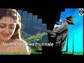 Padessave Padessave Song Akhil Movie