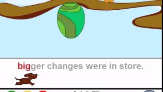 Arabella Miller Puppy Reader