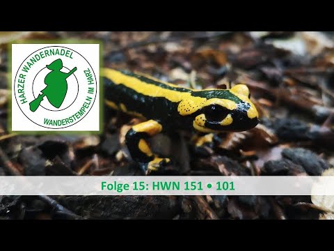 Stempel sammeln im Harz Folge 15: HWN 151 • 101