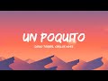 Diego Torres, Carlos Vives - Un Poquito (Letra/Lyrics)