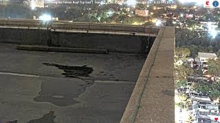 Delaware · Wilmington · Peregrine Falcon Roof West live stream