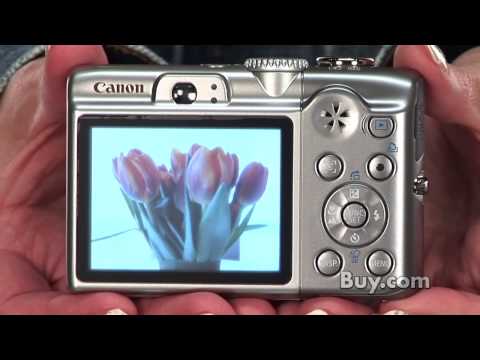 Canon PowerShot A1100 IS 12 Megapixel Digital Camera