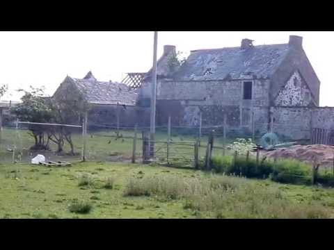 download lagu mp3 mp4 Parliament Of Rooks, download lagu Parliament Of Rooks gratis, unduh video klip Parliament Of Rooks