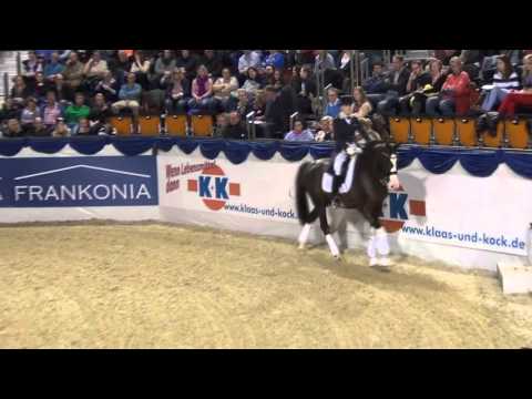 CALLAHO's BENICIO & Jessica Andersson - Hengstgala 2015