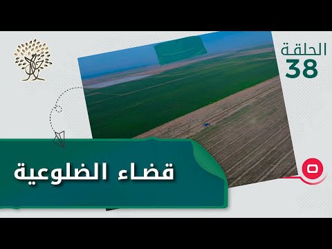شاهد بالفيديو.. براري الضلوعية منبع الحنطة والشعير -  رحال م٤ - الحلقة ٣٨