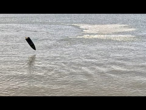 Fun with the Proboat Recoil 26 on 4s with RCBB CSS upgrade kit