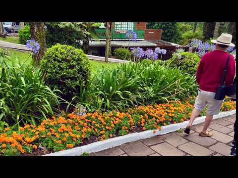 Apartamento perto do lago Negro