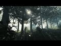 The Forest - PS4 Announcement Trailer