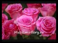 Юлия Беретта Ландыши в январе 