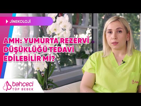 Amh: Yumurta Rezervi Düşüklüğü Tedavi Edilebilir mi? | Bahçeci Tüp Bebek