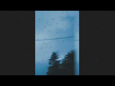 Screen Jazzmaster x Zmeyev - Forest Edge