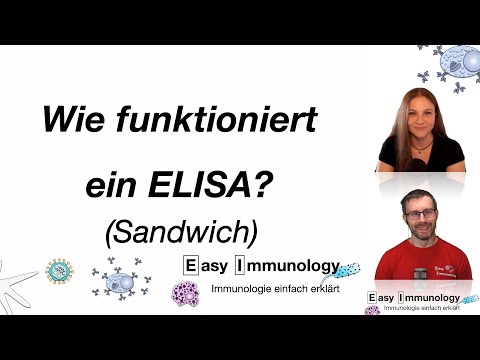 Methoden & Laboralltag: Wie funktioniert der (Sandwich) ELISA?