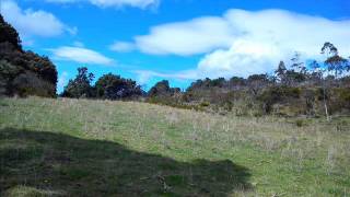 Jorge Ariza Carmencita